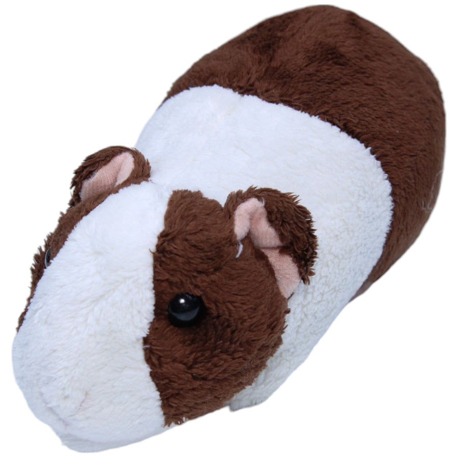 Meerschweinchen, braun-weiß