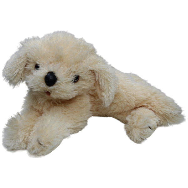 Golden Retriever Welpe