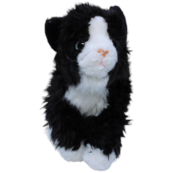 Katzenbaby, schwarz-weiß