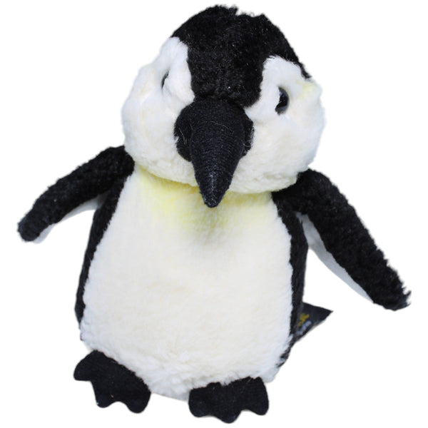 Pinguin, klein