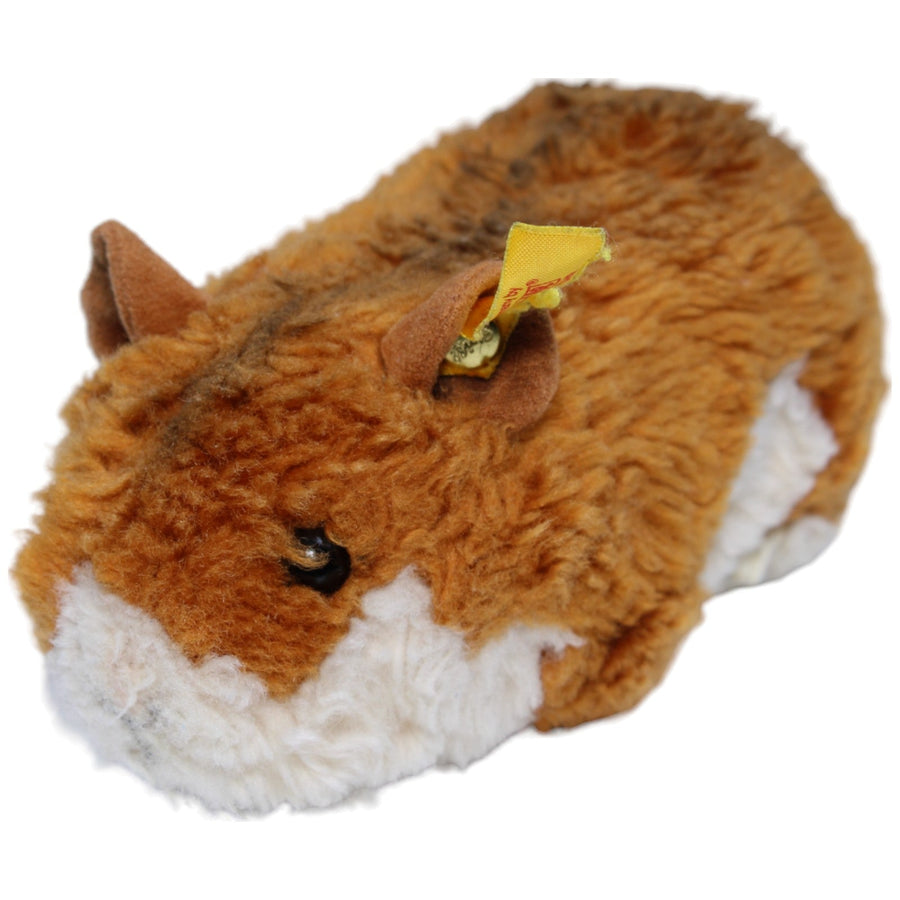 Meerschweinchen, braun