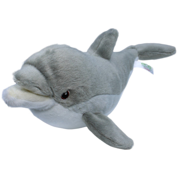 Eco Nation, Delfin