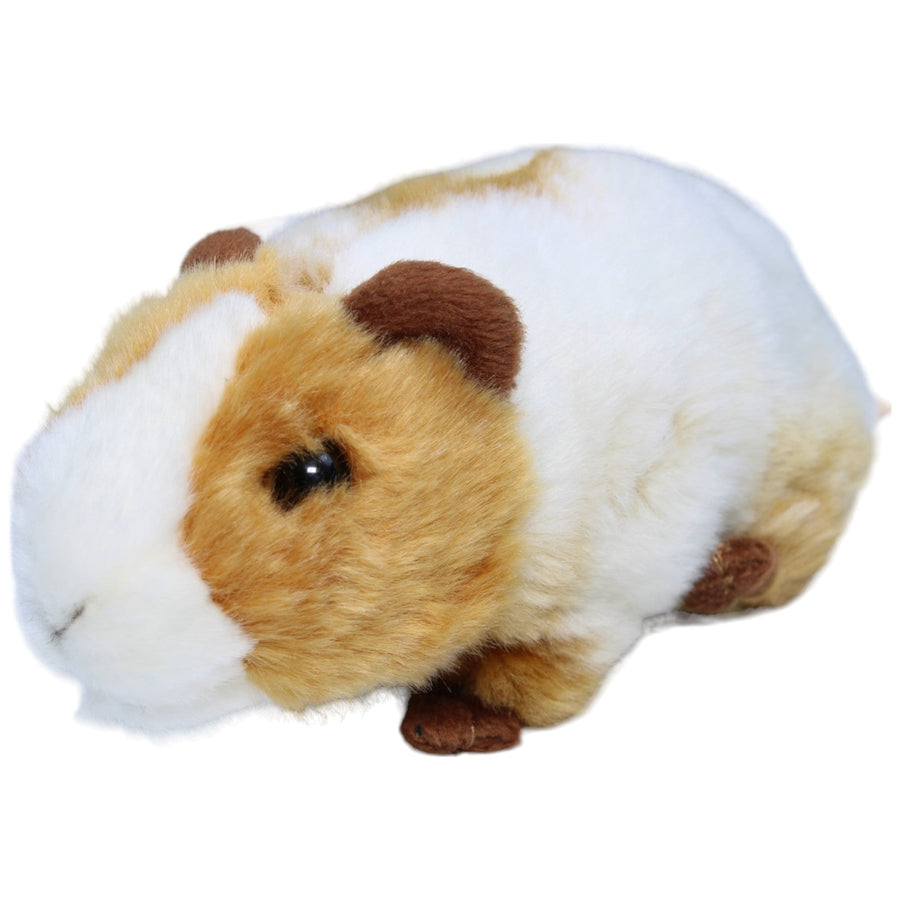 Meerschweinchen, mehrfarbig