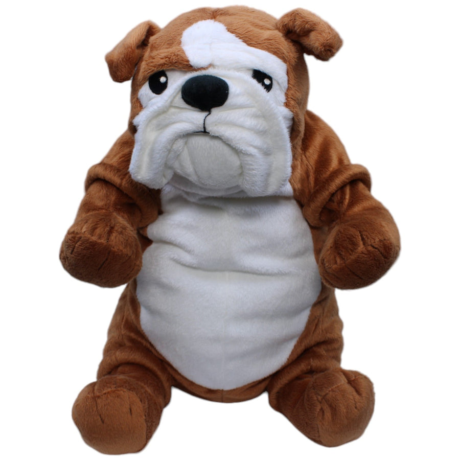 Englische Bulldogge, GOSIG KLAPPAR