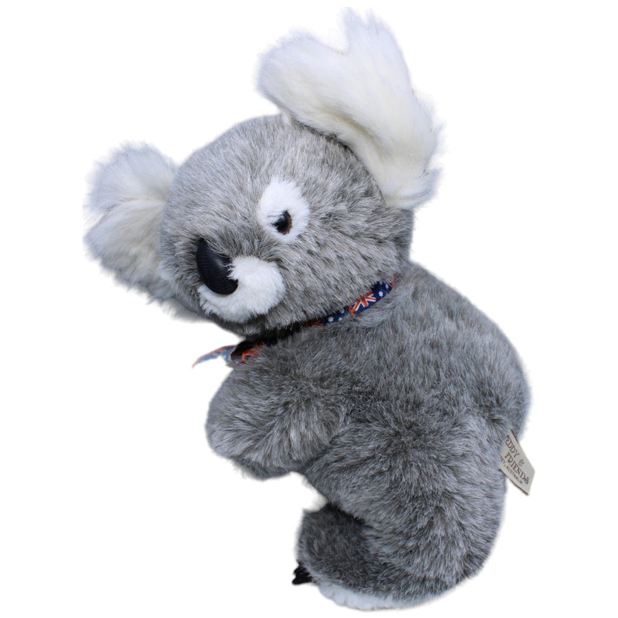 Koala Australien