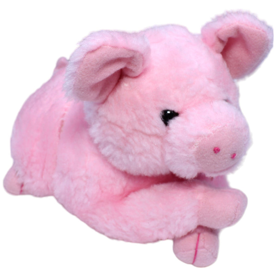 Schwein, liegend