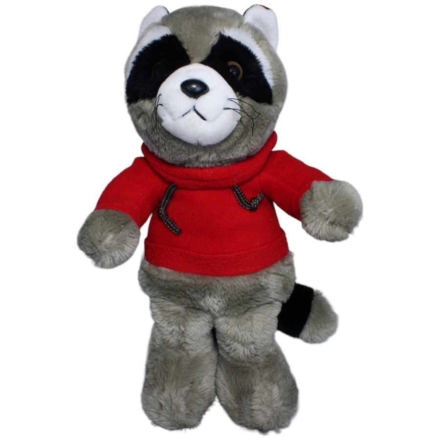 Waschbär mit Hoodie