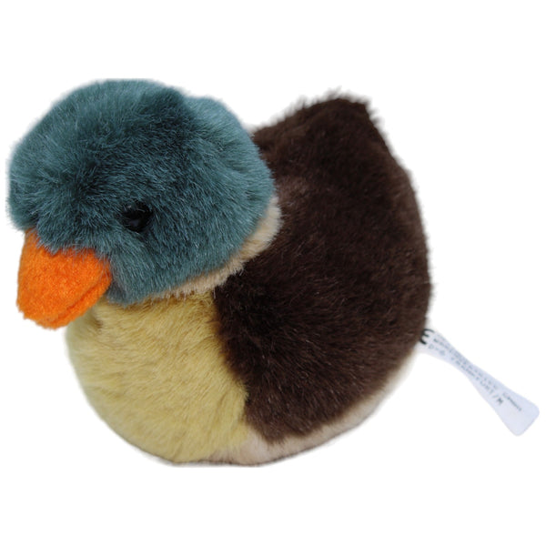 Ente, männlich