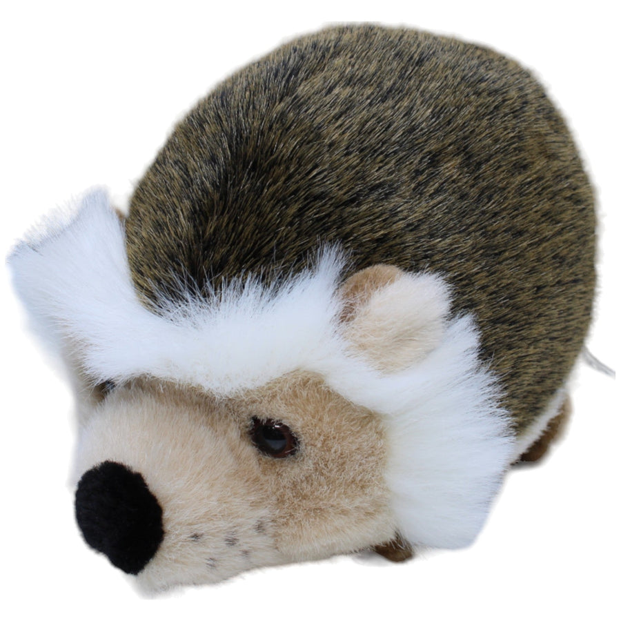 Igel