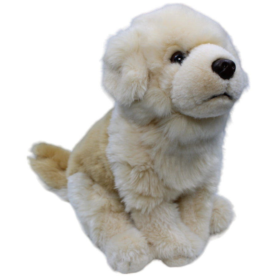 Golden Retriever, superweich