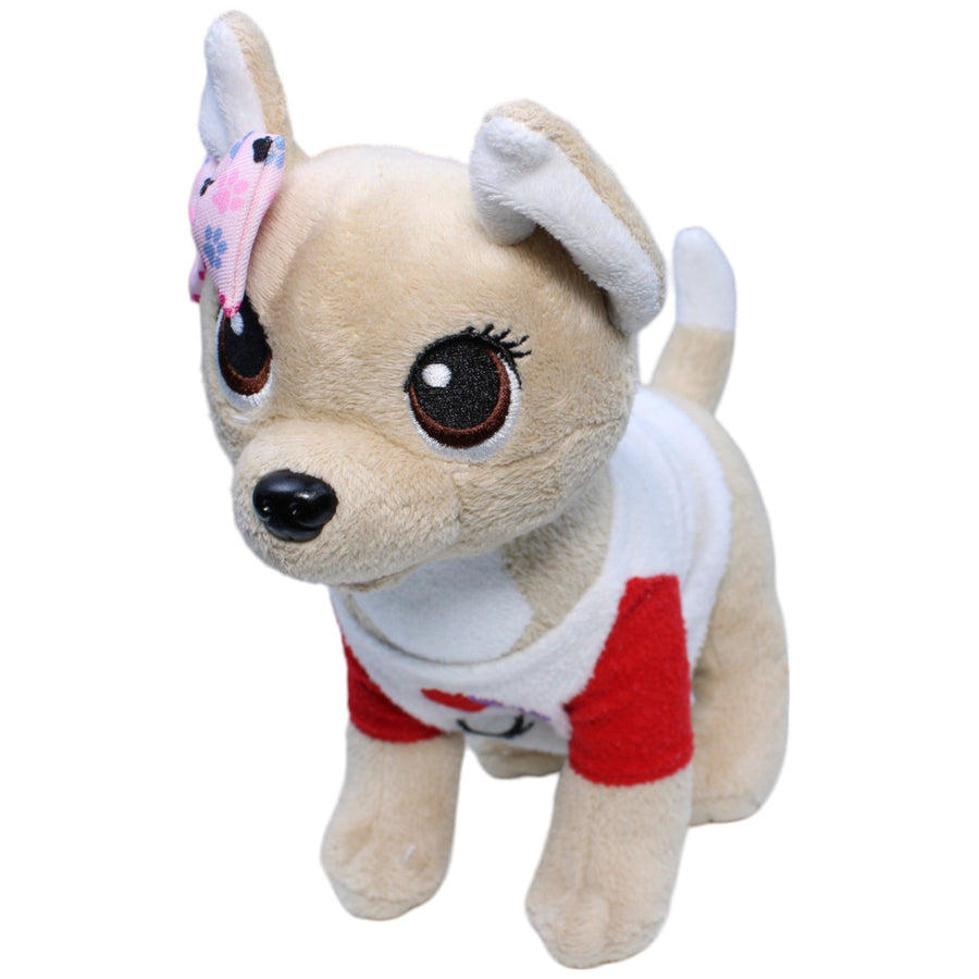 Chi Chi Love, Chihuahua mit Shirt