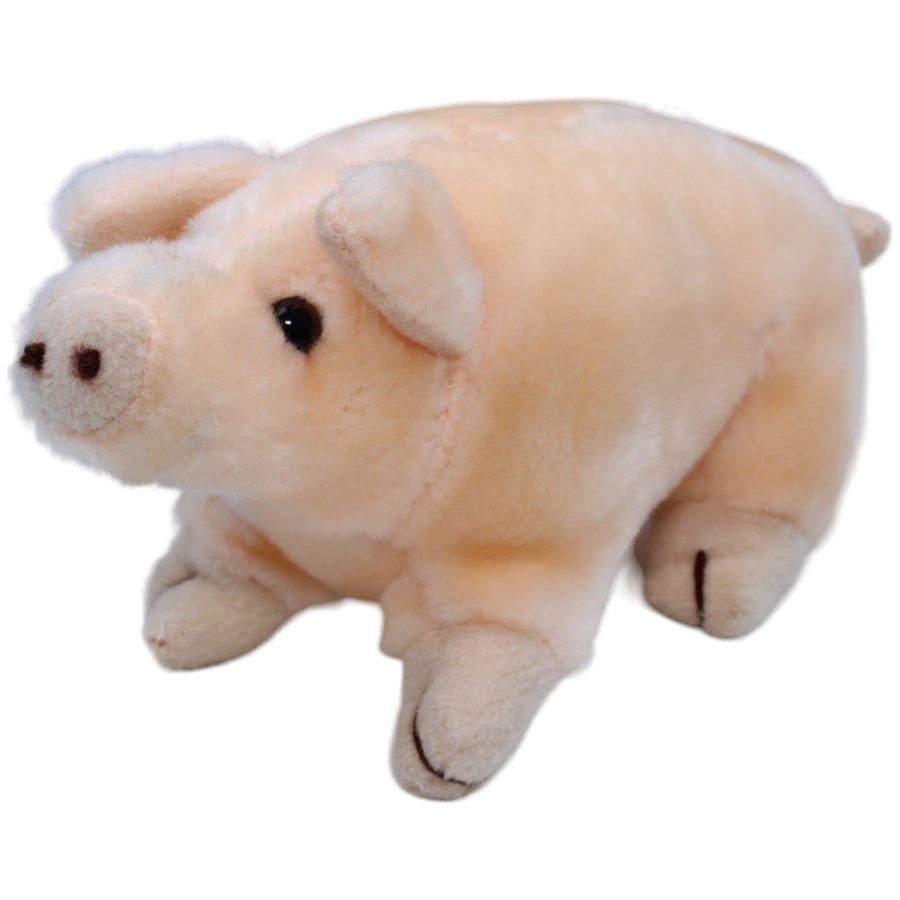 Schwein