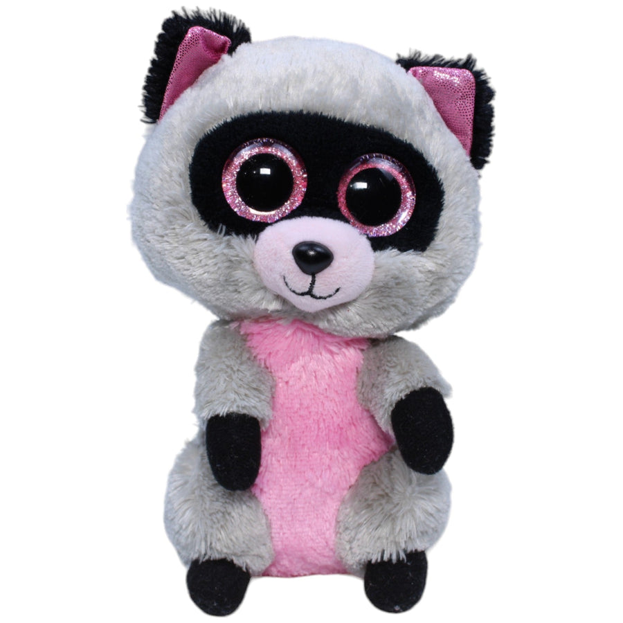 Waschbär Rocco