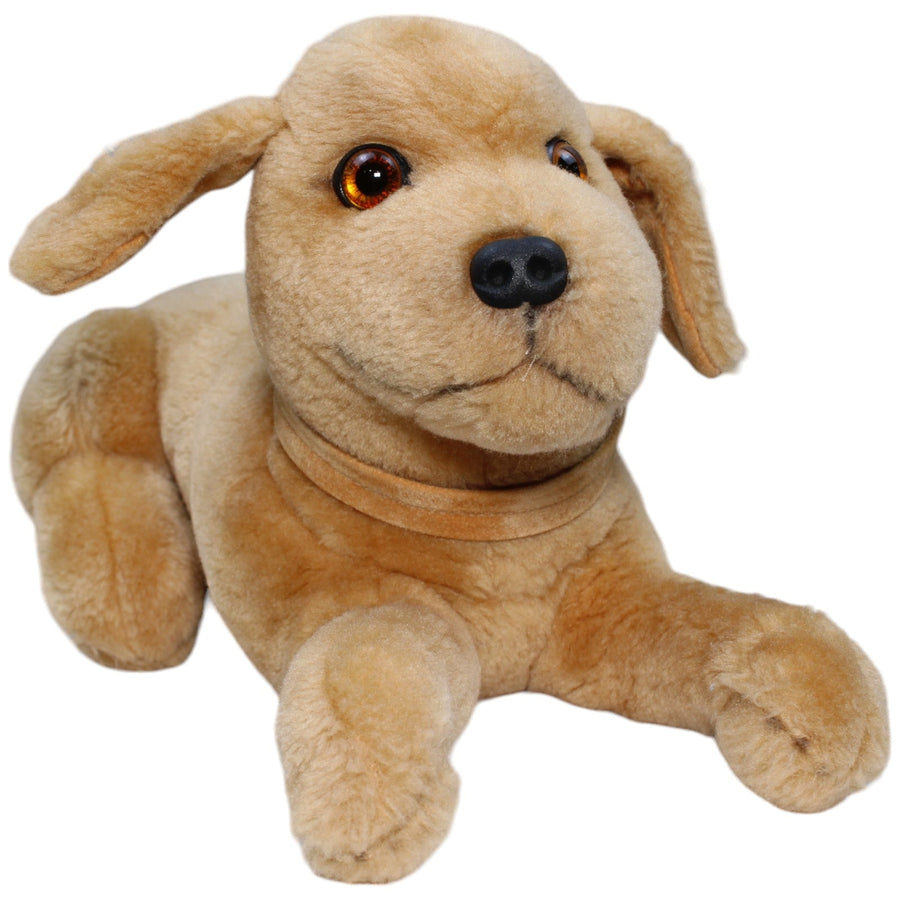Golden Retriever, liegend