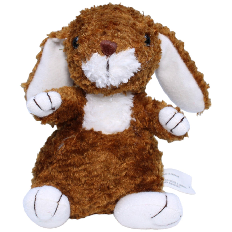 Süßer kleiner Hase