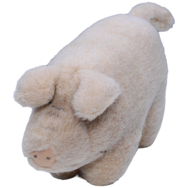 Schwein, stehend