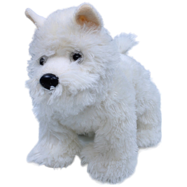 Animal Love, West Highland White Terrier