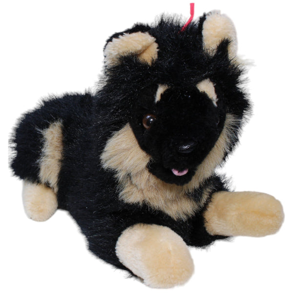Großer Finnischer Lapphund, liegend
