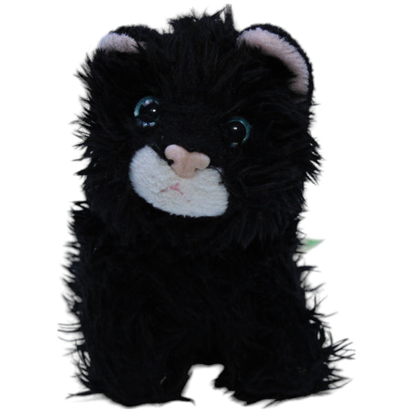 Mein bester Freund, schwarze Baby Katze