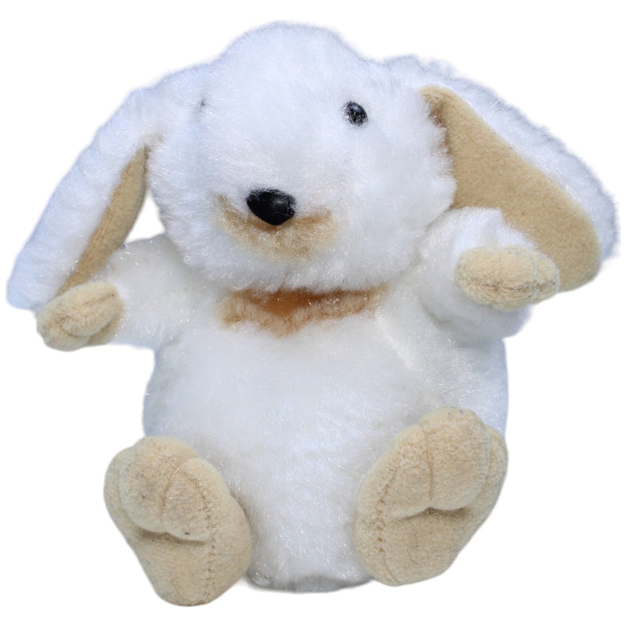 Süßer kleiner weißer Hase
