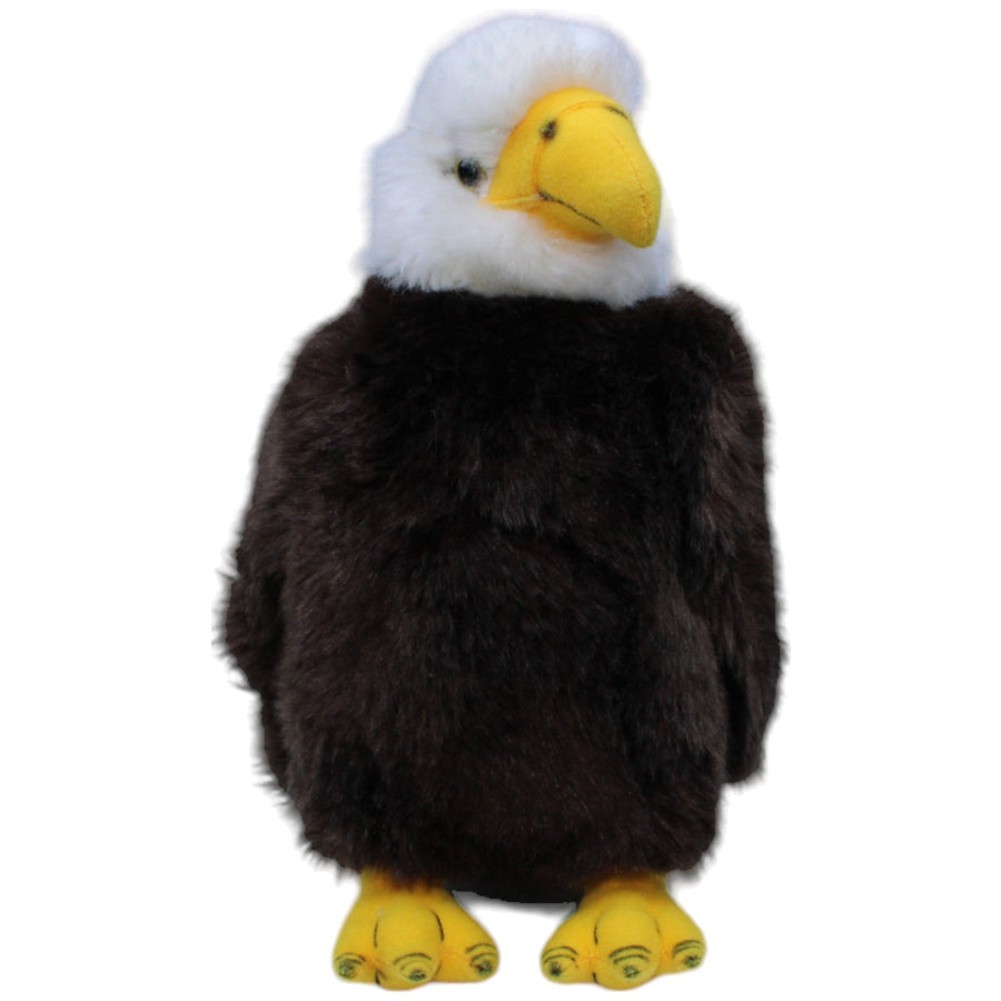 Weißkopfseeadler, sitzend
