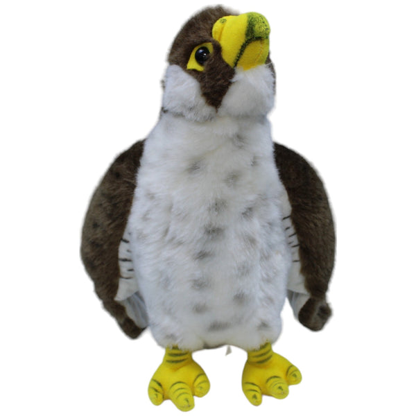 Wanderfalke, stehend