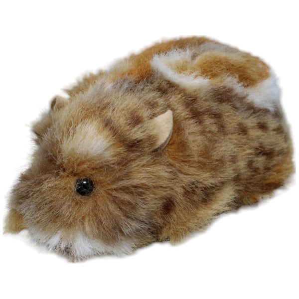 Meerschweinchen, braun-weiß