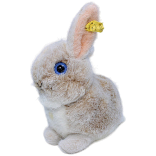 Hase, hellbraun