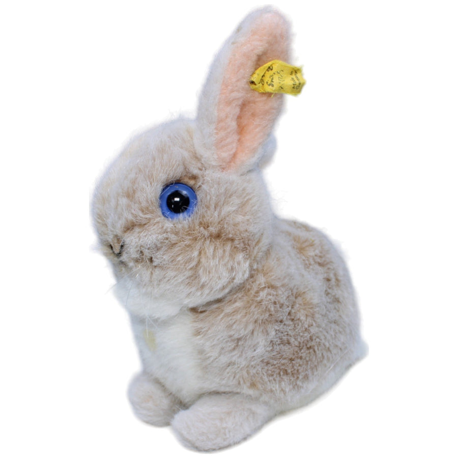 Hase, hellbraun