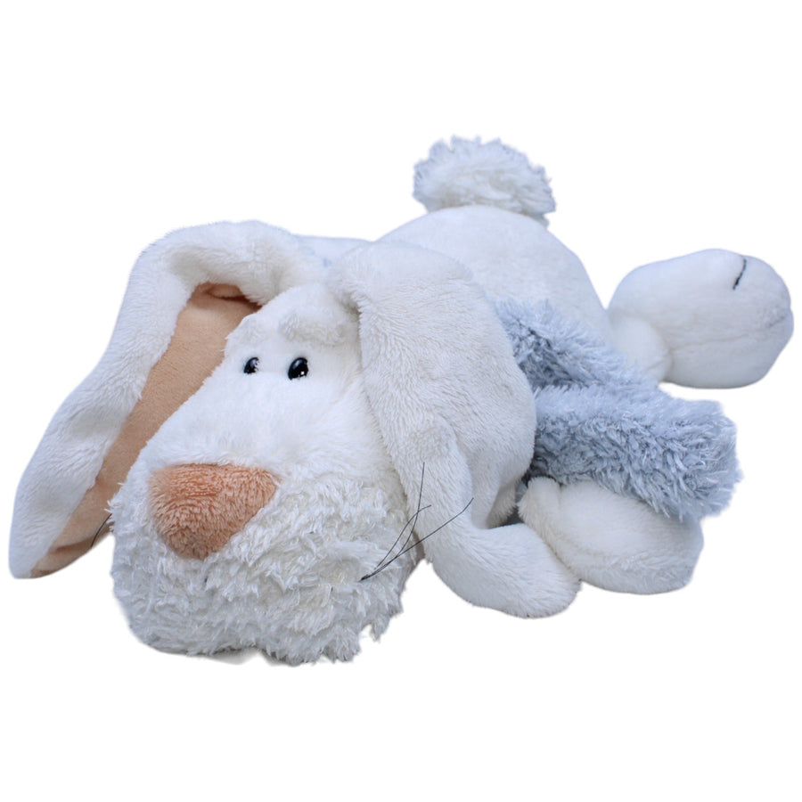 Weißer Hase, liegend