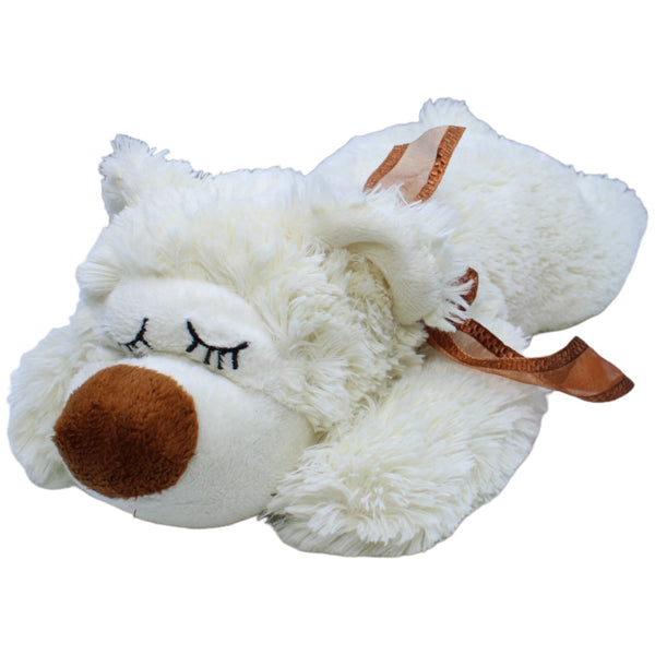 Süßer schlafender Bär, weiß