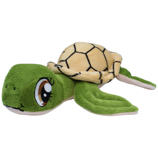 Süße Schildkröte
