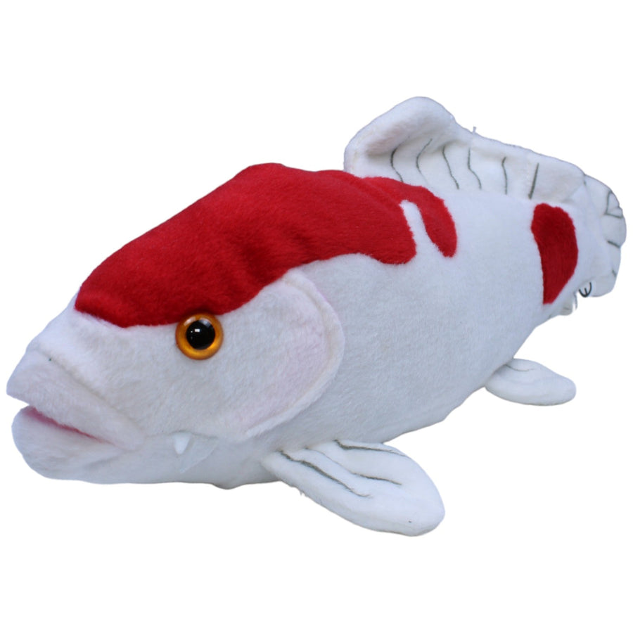 Koi Kohaku, rot-weiß