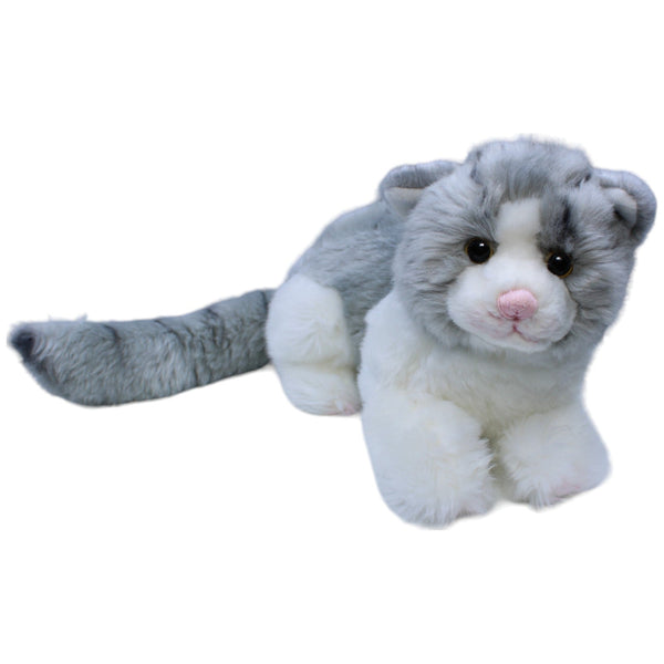 Hübsche graue Katze, liegend
