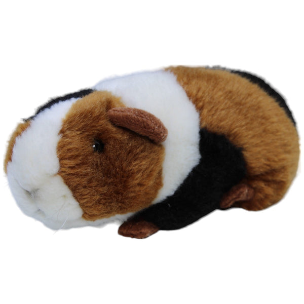Meerschweinchen, 3-farbig