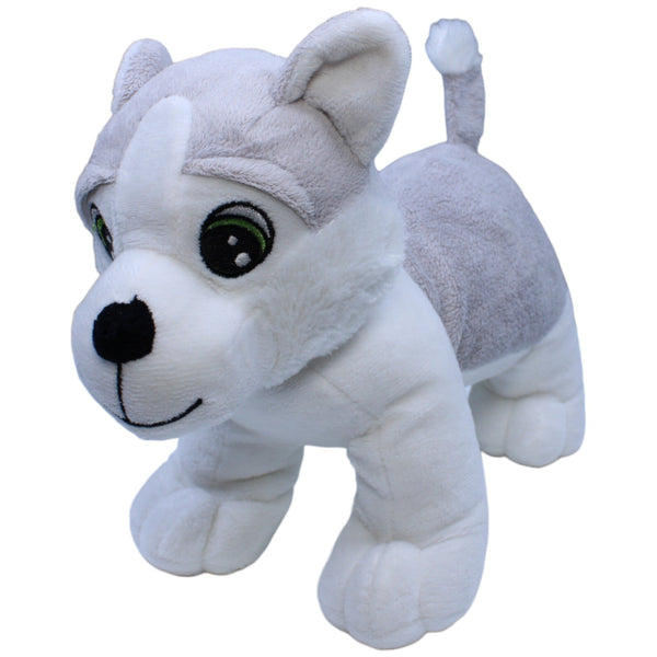 Süßer Husky Welpe, stehend