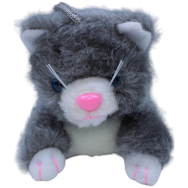 Kleine Katze mit pinker Nase