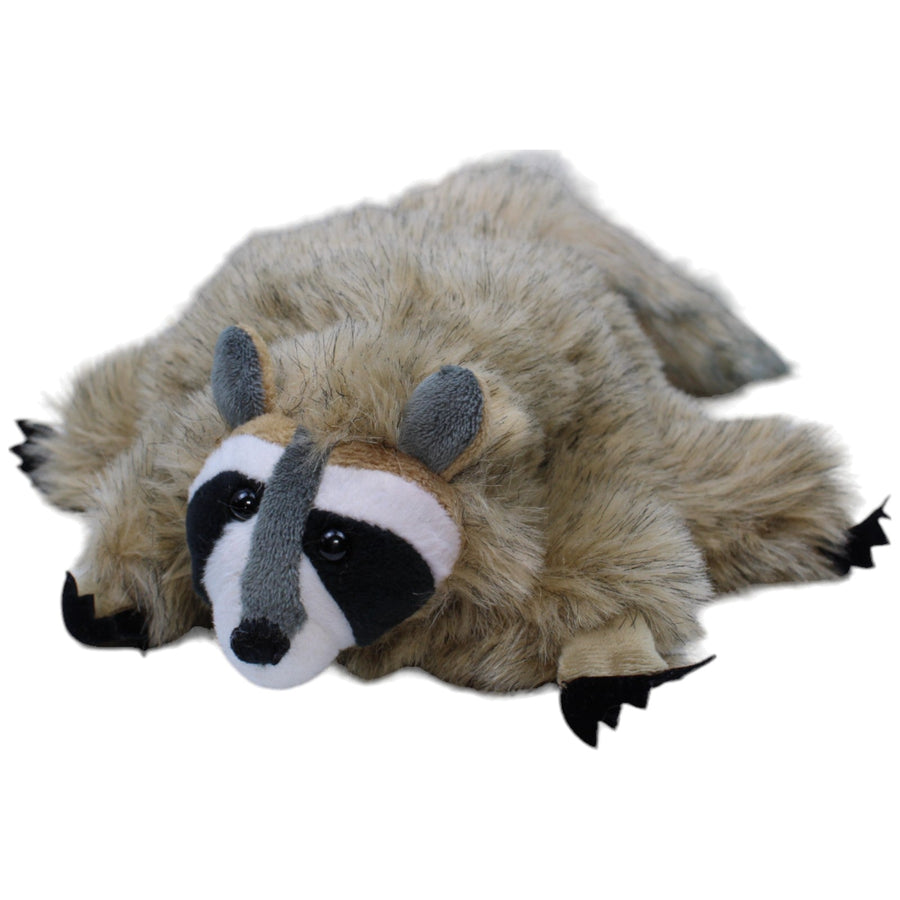 Süßer Waschbär