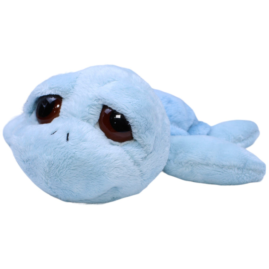 Schildkröte Reef, hellblau
