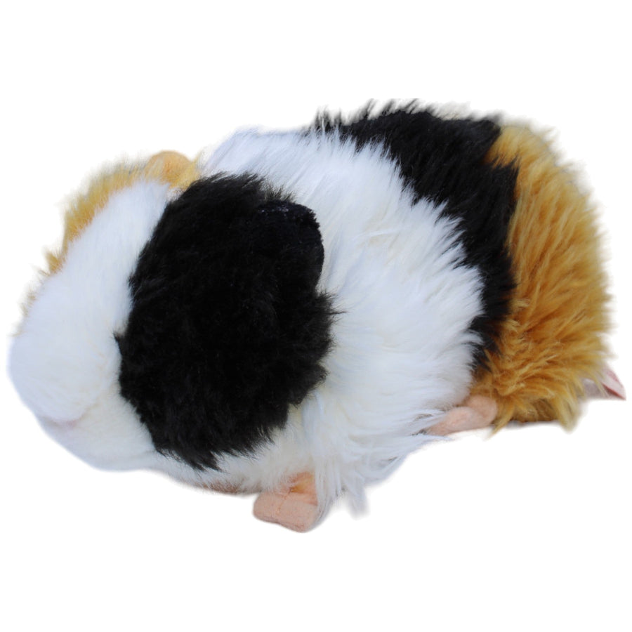 Meerschweinchen, 3-farbig