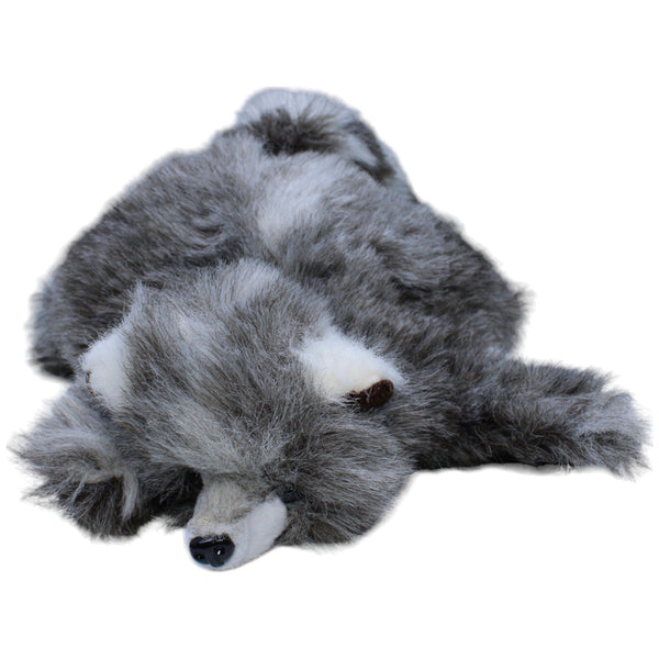 Süßer Waschbär