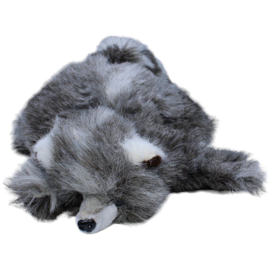 Süßer Waschbär