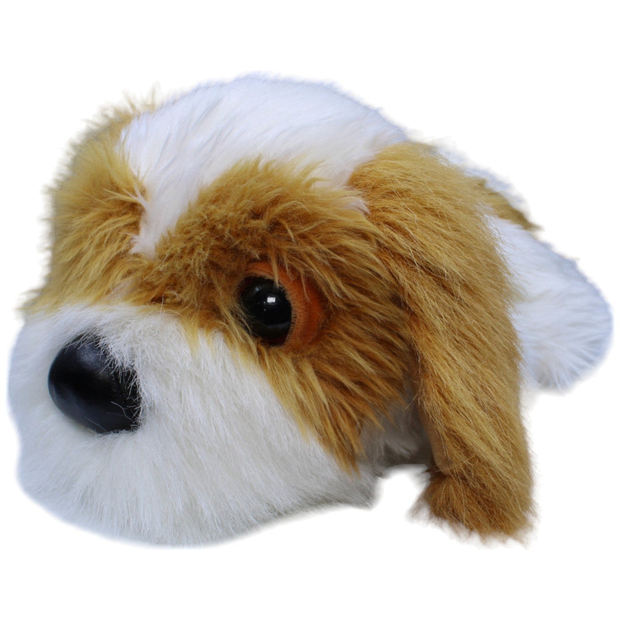 Shih Tzu mit großem Kopf, liegend