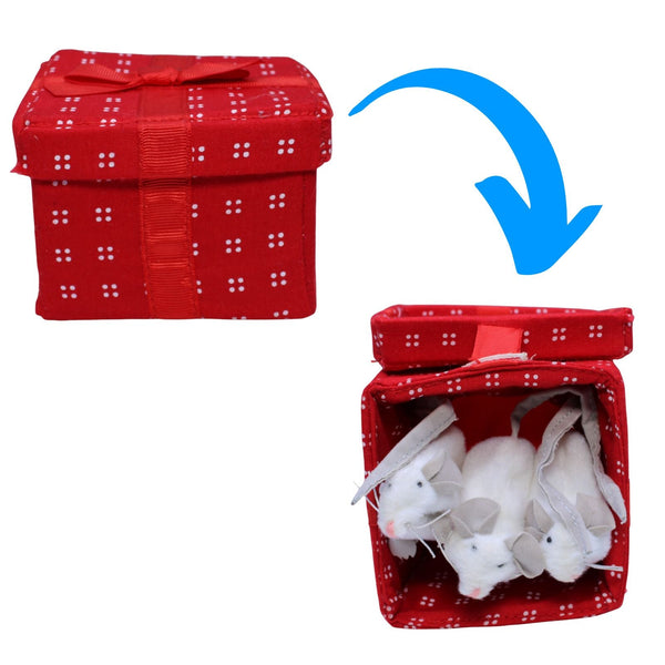Weiße Mäuse in roter Geschenkbox