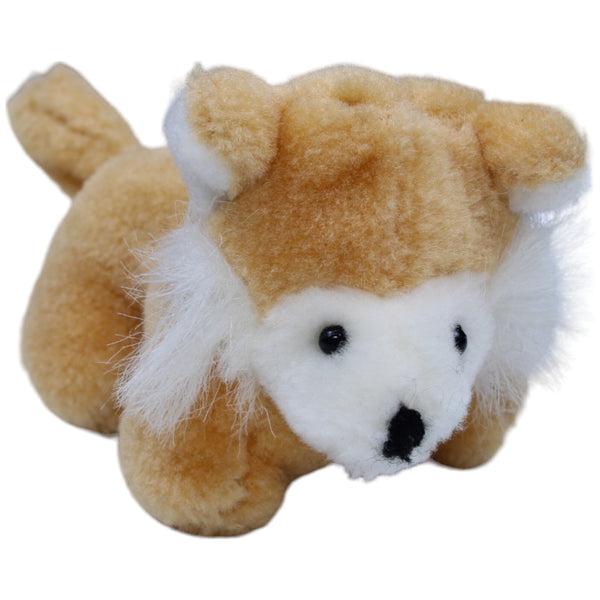 Süßer kleiner Fuchs
