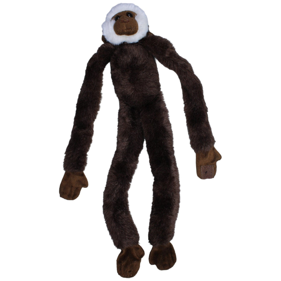 Schlanker-Affe mit Klett Händen, dunkelbraun