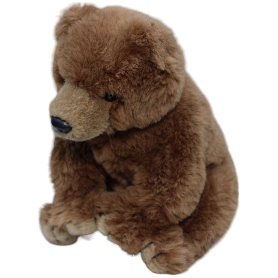 Hübscher Braunbär, sitzend