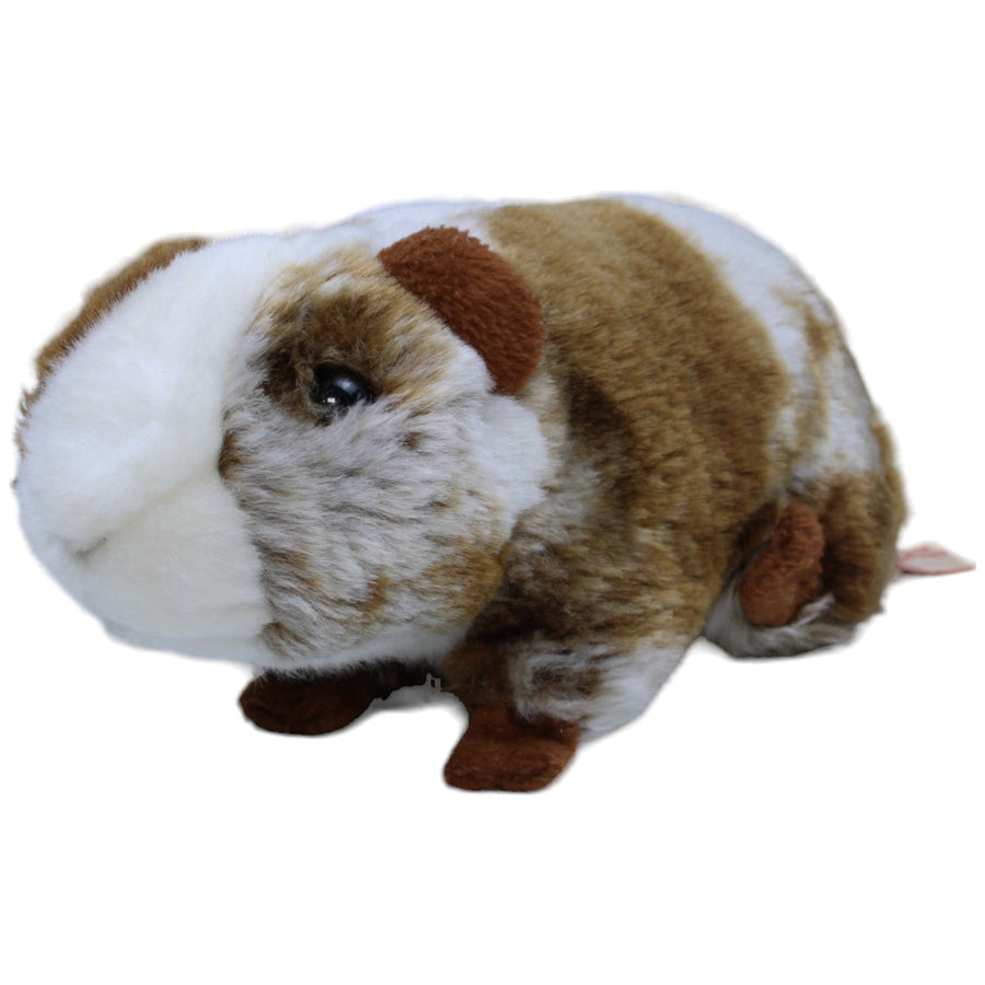 Meerschweinchen, mehrfarbig