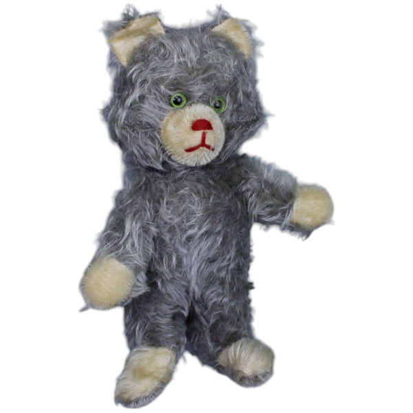 Katze mit grauem Fell