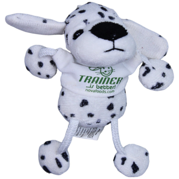 Trainer Dog & Cat Wellness, Dalmatiner